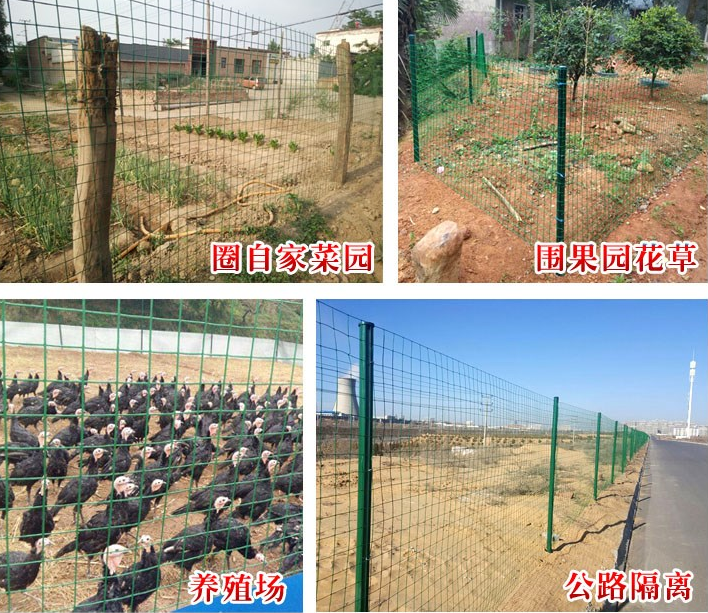 <b>問：散養(yǎng)野雞場綠色鐵絲網(wǎng)能用幾年？</b>