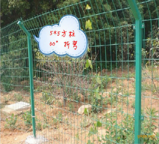 新洲橘子園圍欄網(wǎng)