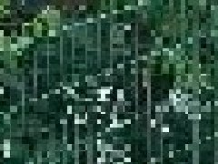 <b>武漢道路護(hù)欄?的種類有哪些？</b>