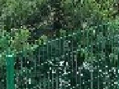 <b>哪些護(hù)欄網(wǎng)適合做武漢圍欄？</b>