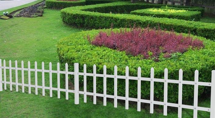 1535593173974504.jpg 2.jpg