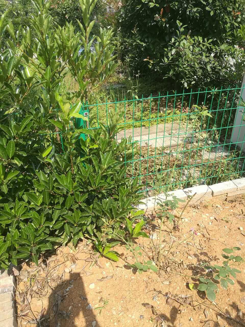 1536027007717942.jpg 1536027007717942.jpg